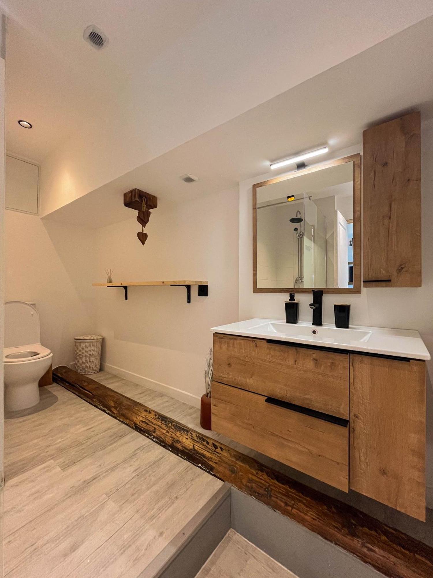Cocon Sous Les Toits Appartement Albertville Buitenkant foto