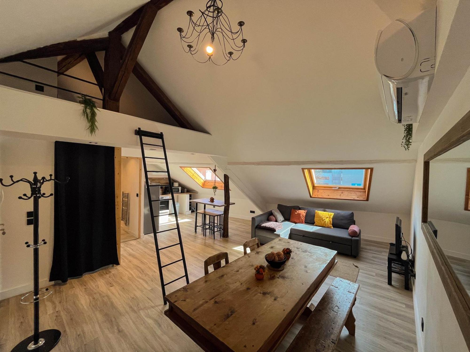 Cocon Sous Les Toits Appartement Albertville Buitenkant foto