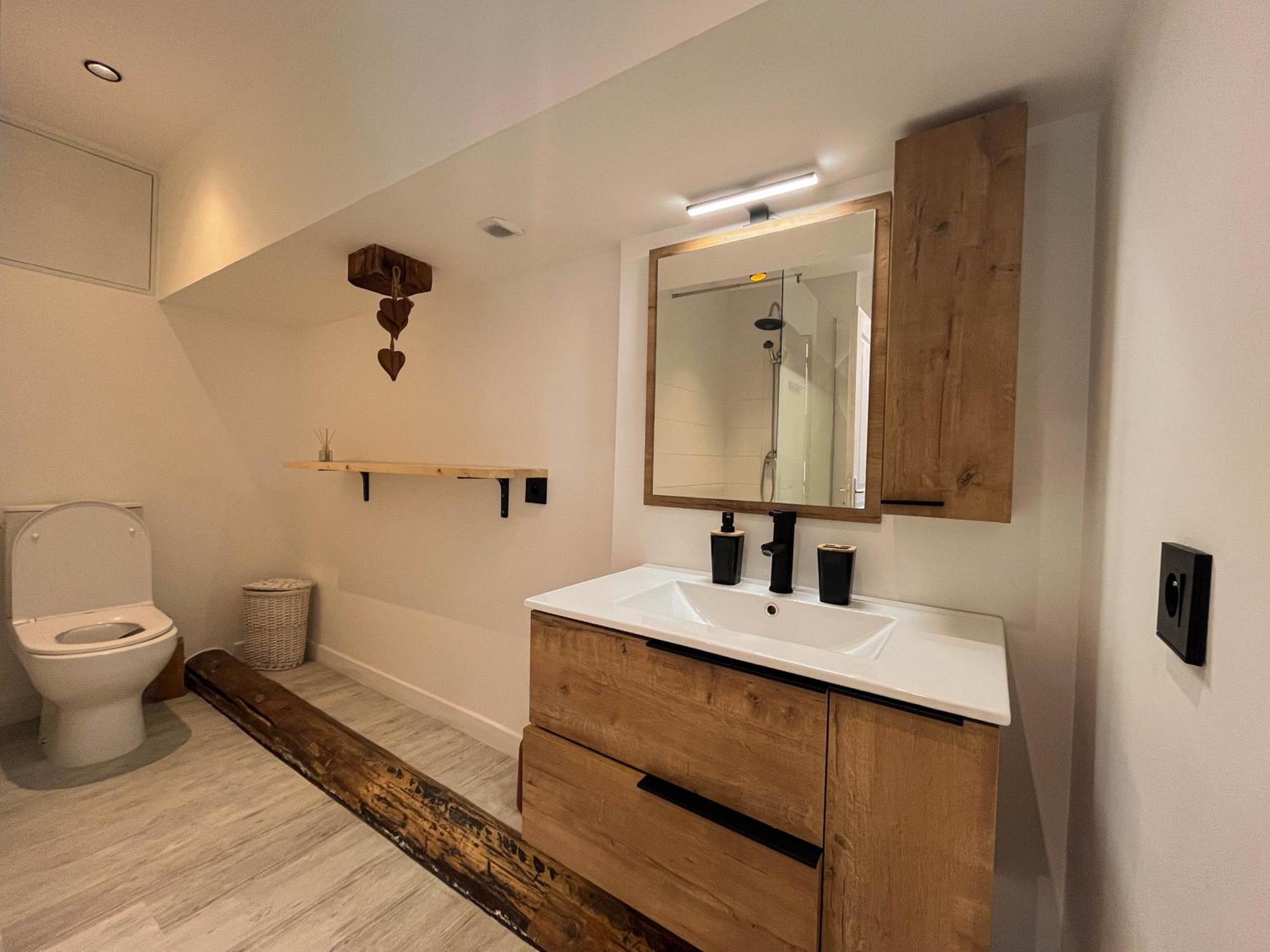 Cocon Sous Les Toits Appartement Albertville Buitenkant foto