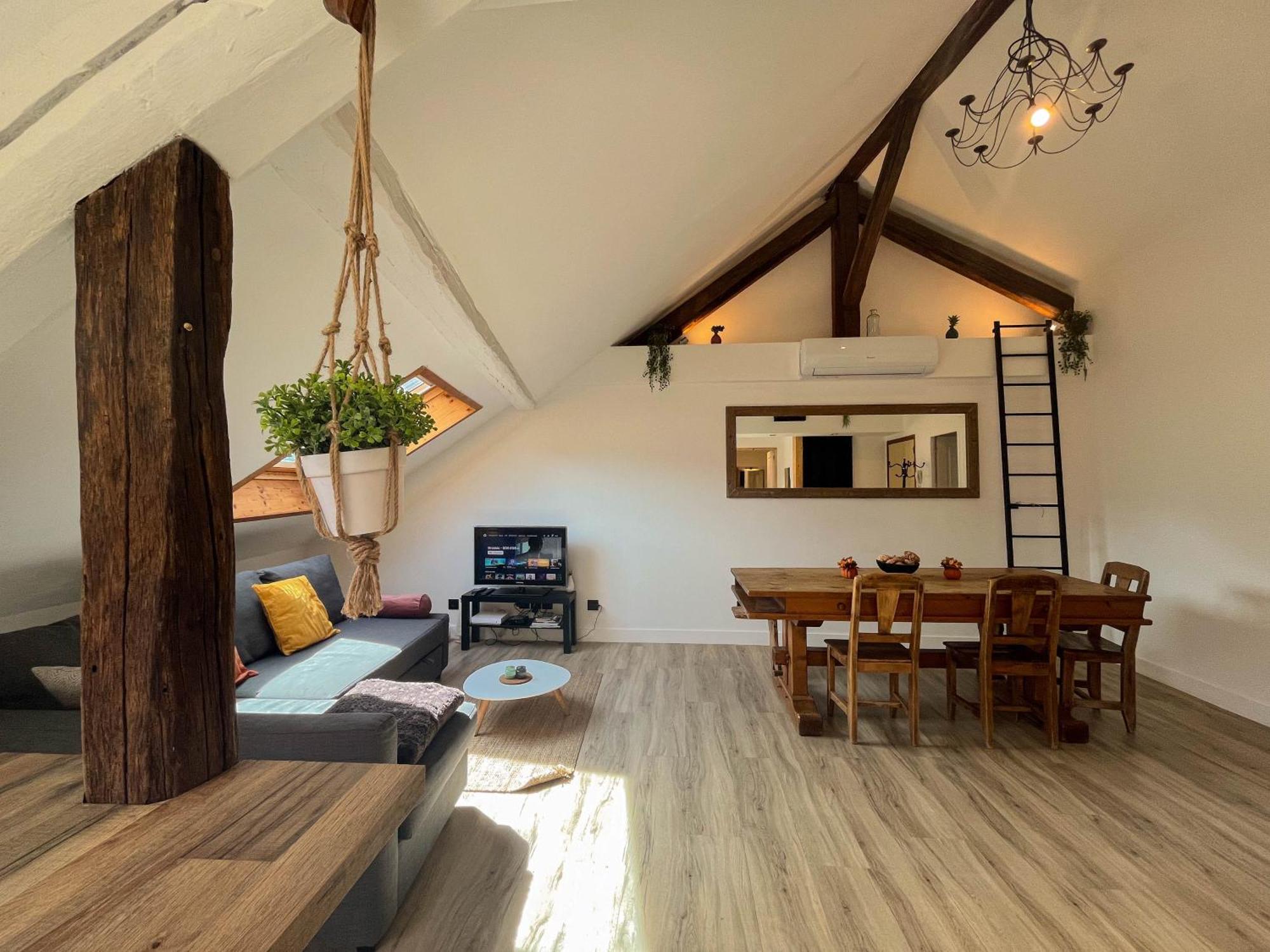 Cocon Sous Les Toits Appartement Albertville Buitenkant foto