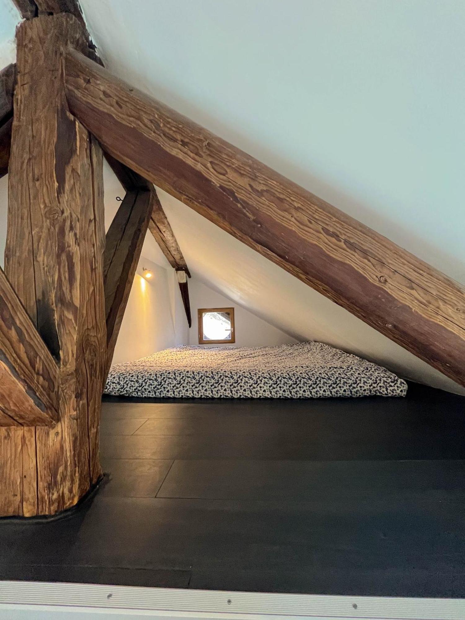 Cocon Sous Les Toits Appartement Albertville Buitenkant foto